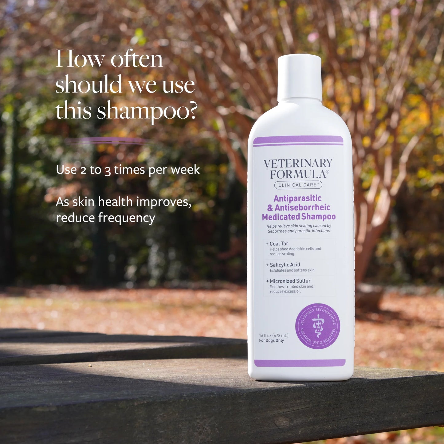 Clinical Care Antiparasitic & Antiseborrheic Shampoo for Dogs, 16 Oz